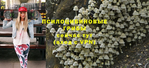 синтетический гашиш Арсеньев